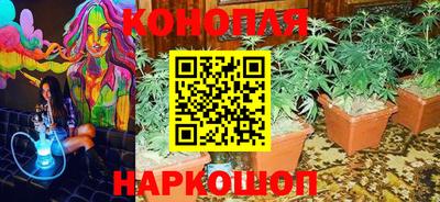 apvp Лесосибирск