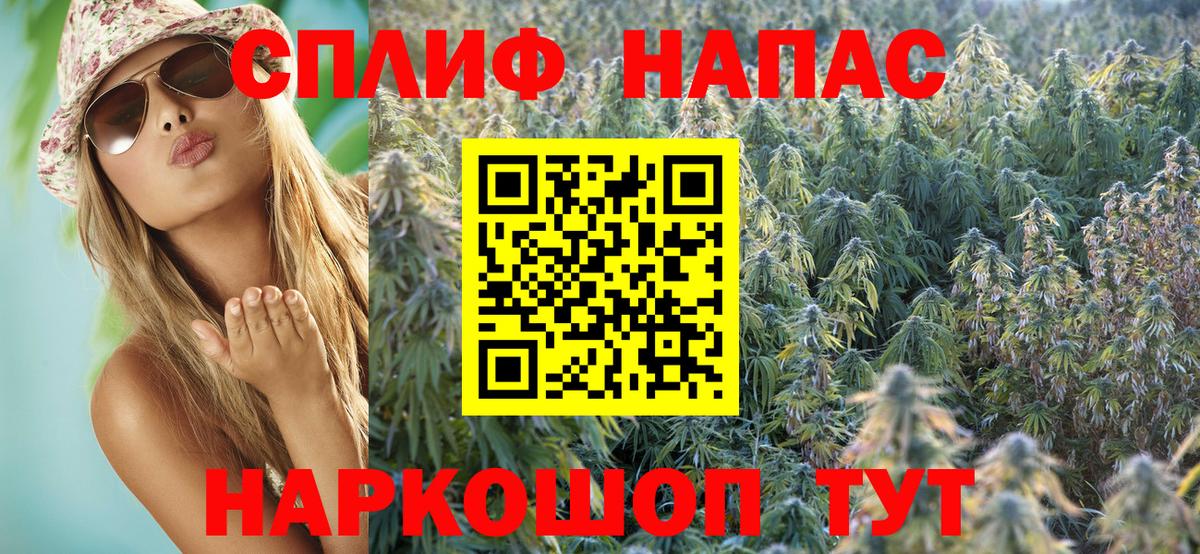Шишки марихуана план Вятские Поляны